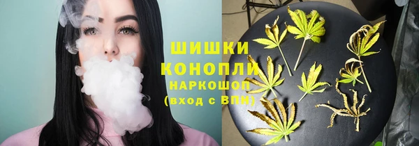 ПСИЛОЦИБИНОВЫЕ ГРИБЫ Алзамай
