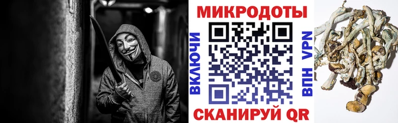закладки  Покачи  Псилоцибиновые грибы Cubensis 
